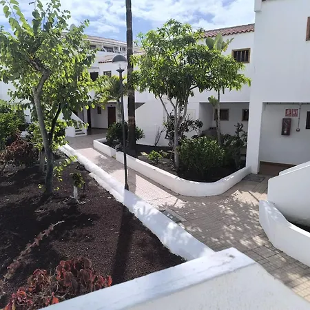 Garden דירה